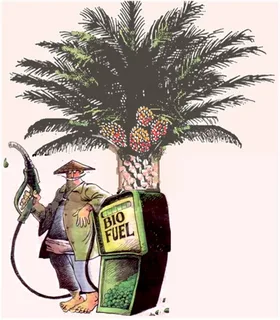 İndoneziya dizel idxalını dayandıraraq