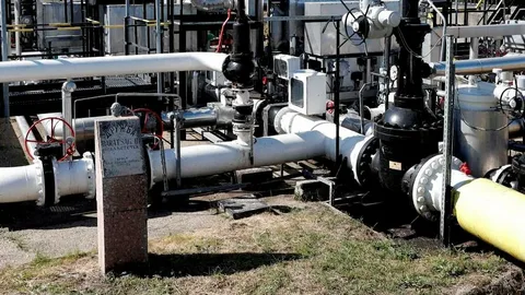 Rusiya maydan Qazaxıstan neftinin Almaniyaya 