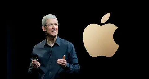 Apple rəhbəri yaddaş çipləri ilə bağlı problemlərin 