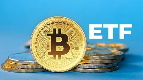 BitKoin 80 min 