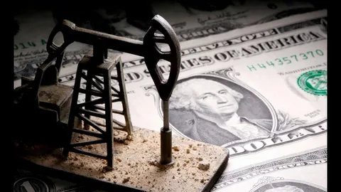 Avstraliya neftin 200 dollara qədər bahalaşma