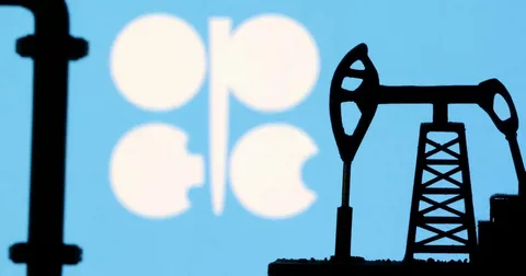 OPEC proqnozlarını