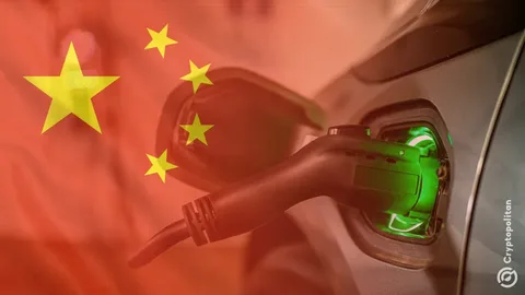 Çin elektromobil istehsalçılarına "qırmızı xətt" 