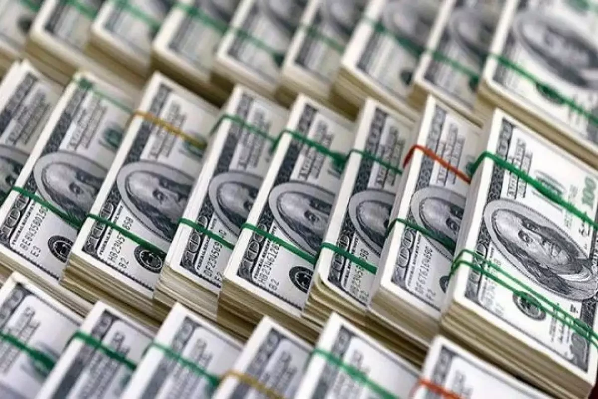 Dünyada ailələrin borcu 