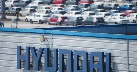 Hyundai ABŞ-da 421 mindən çox avtomobili 