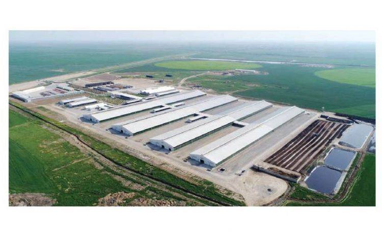 Aqrar sektorun gələcəyi: 