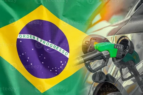 Braziliya yanacaq qiymətlərini cilovlamaq üçün 