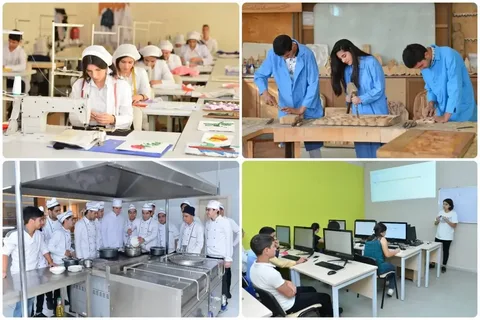 “Peşə seçimi” testlərində iştirak etmək üçün qeydiyyat