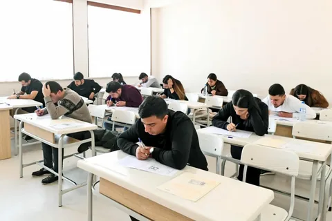 DİM dövlət qulluğu üzrə növbəti