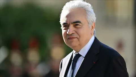 BEA rəhbəri Hörmüz boğazının qeyd-şərtsiz 
