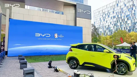 BYD Macarıstandakı ekoloji ittihamları 