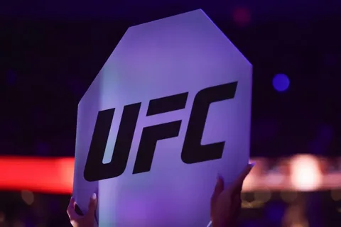 Mütləq Döyüş Çempionatının (UFC) Bakıda təşkil olunan turniri 