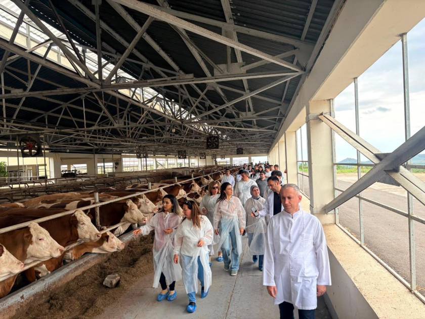 Xocalıda müasir damazlıq heyvandarlıq kompleksi 