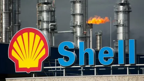 “Shell” hasilatın azalacağı barədə 