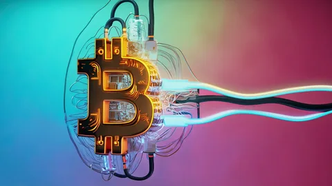 Bitcoin 62 min dollar səviyyəsində 