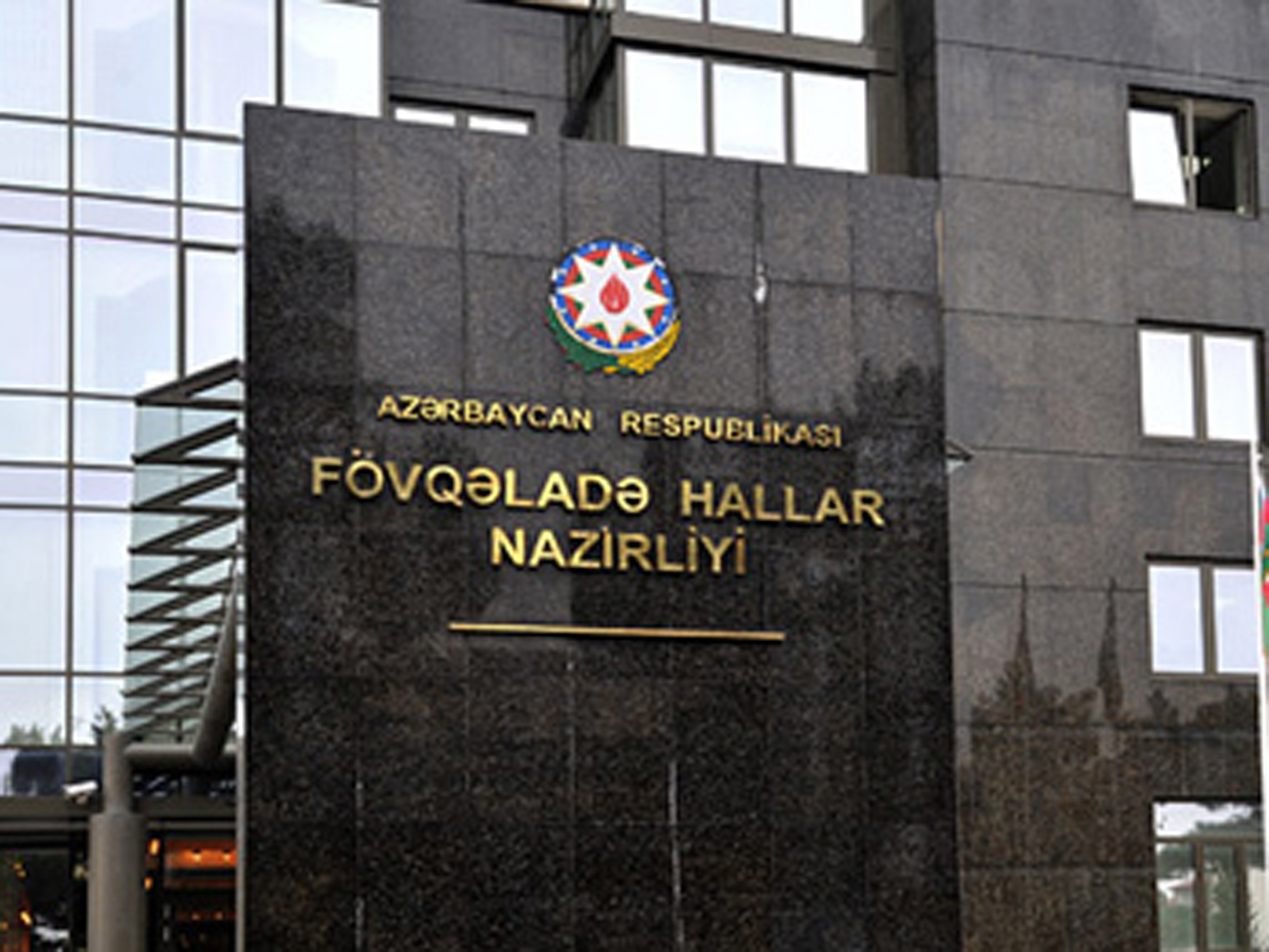 FHN lüks avtomobillər alır: 