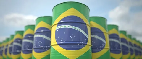 Braziliya neft ixracına tətbiq olunan 12 faizlik verginin 
