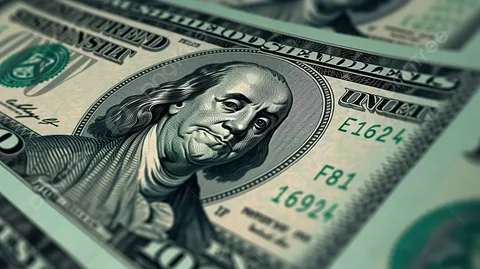 Dolların gələcəyini müəyyən edəcək əsas 