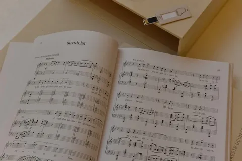 Musiqi sənəti üzrə nəzəriyyə fənlərindən