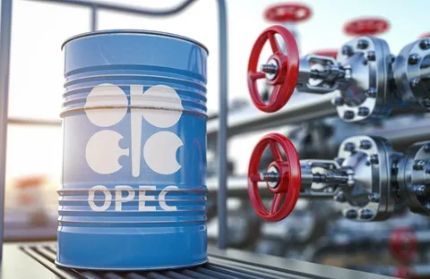 OPEC+ üzvü olan 7 ölkə sentyabrdan