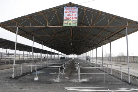 Müasir tələblərə uyğun 16 heyvan satışı bazarı 