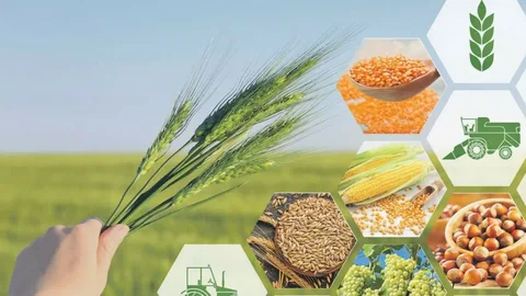 Ötən il kənd təsərrüfatına 1,12 milyard manatdan çox 