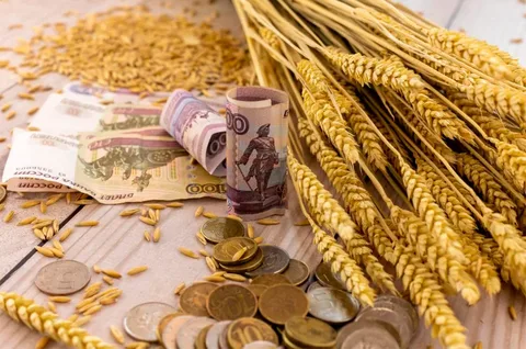 Rusiyadan buğda ixracına tətbiq olunan rüsum 