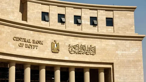 Misir Mərkəzi Bankı uçot dərəcələrini 