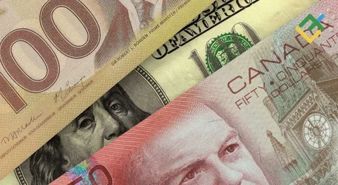 Kanada ABŞ rüsumlarına "dollara qarşı dollar" prinsipi ilə 