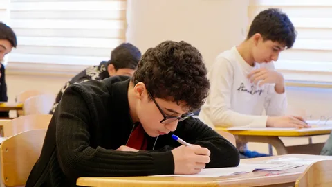 Ali təhsil müəssisələrinə yerləşdirmənin 