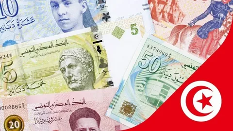 Tunisdə tədavüldə olan nağd pulun həcmi rekord 