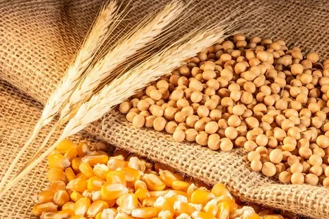 Qarğıdalı, soya və buğda üzrə 