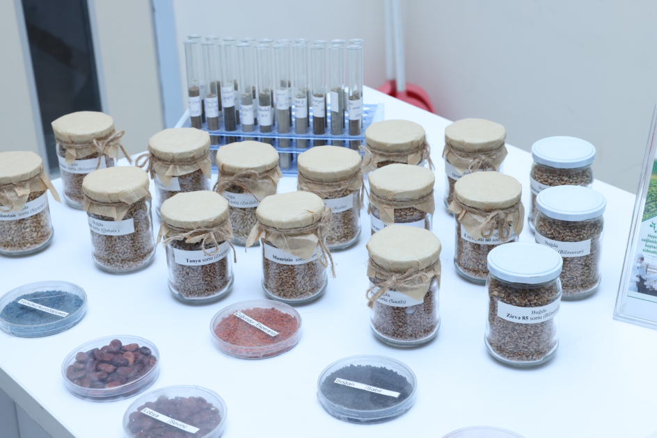 Aqrar Xidmətlər Agentliyinin Mərkəzi Laboratoriyasında torpaq nümunələri 