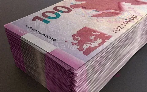 Manatın real effektiv məzənnəsi bir ildə 