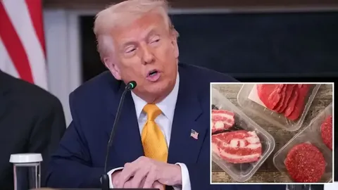 Tramp mal ətinin qiymətlərini azaltmaq üçün 