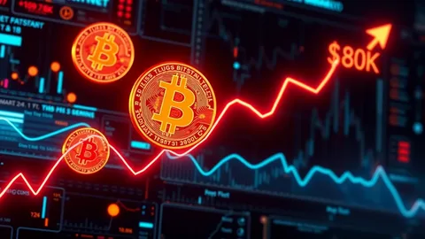 Bitcoin 80 min dollar həddinə yaxın 