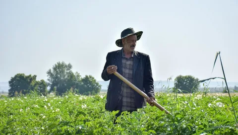 Fermerlər əkin subsidiyasının 30 faizini avans şəklində 
