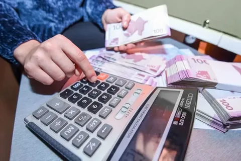 Dövlət büdcəsindən 224 milyon manatdan çox vəsait 