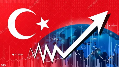Türkiyə 2029-cu ilə qədər iqtisadi artımı 5 faizə 