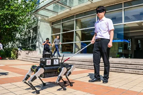 Çində görmə məhdudiyyətli insanlar üçün robot-bələdçi it 