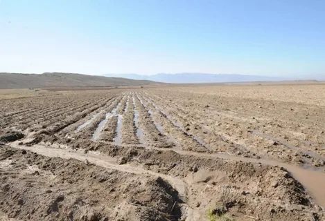 2026-cı ildə Aqrar Sığorta Fondu əkin sahələrinin 