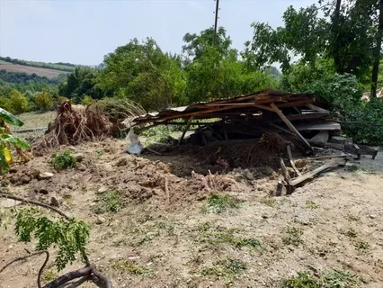 Aqrar Sığorta Fonduna müraciətlərin əksəriyyəti 