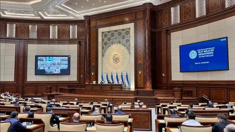 Özbəkistan latın qrafikalı əlifbanın 
