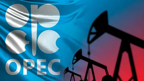 OPEK 2026-cı il üzrə qlobal neft tələbatının 