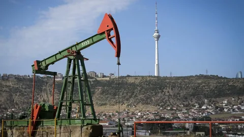 Azərbaycan nefti bahalaşaraq 