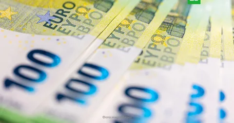 Avronun qlobal valyuta ehtiyatlarındakı payı 12 ilin 