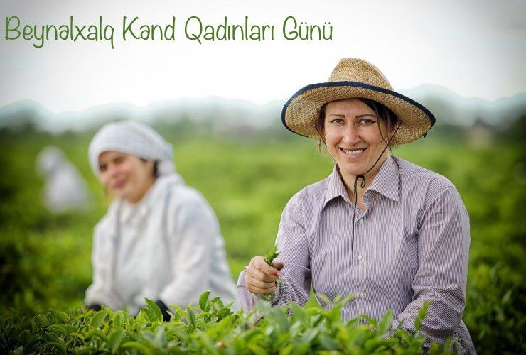 15 oktyabr Beynəlxalq 