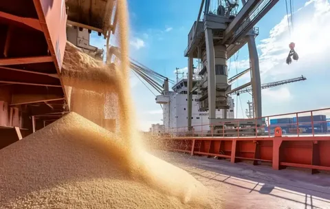 Rusiyada taxıl ixracında logistika böhranı: 