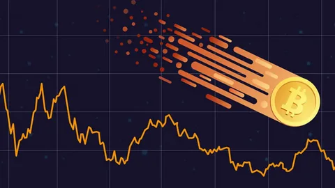 Bitcoin 85 min dollara yaxınlaşdıqdan sonra 