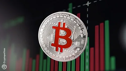 Bitcoin 80 min dollar səviyyəsində 